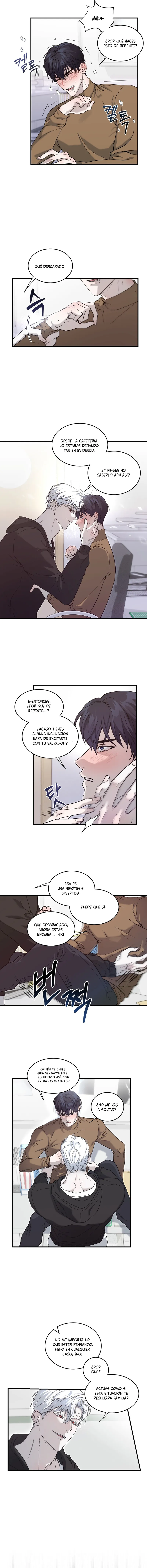 5 Fragmentos de luna