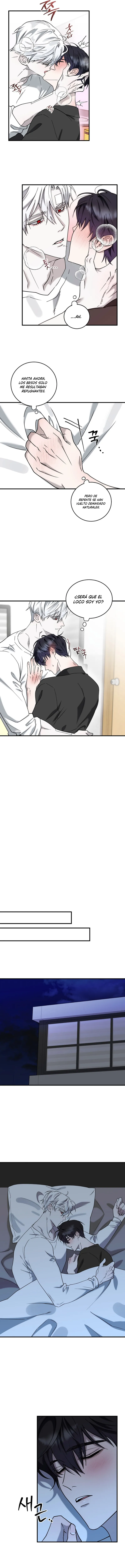 5 Fragmentos de luna