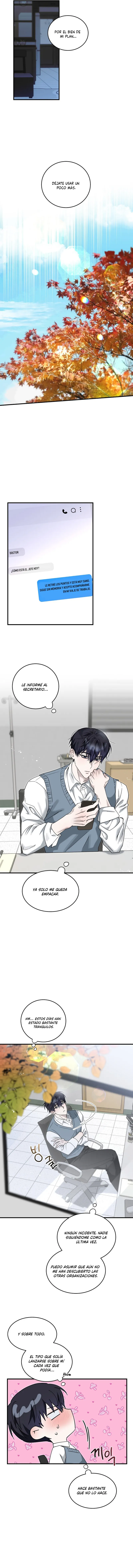 7 Fragmentos de luna