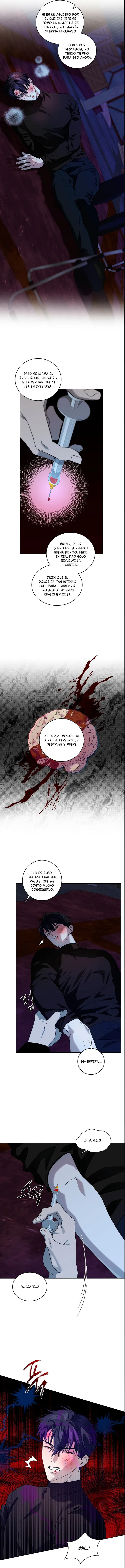 4 Fragmentos de luna