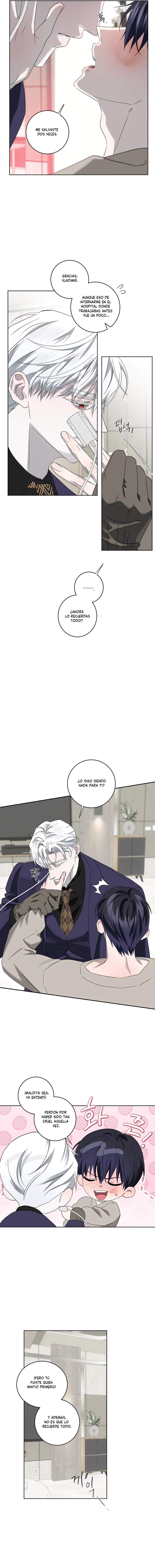 8 Fragmentos de luna