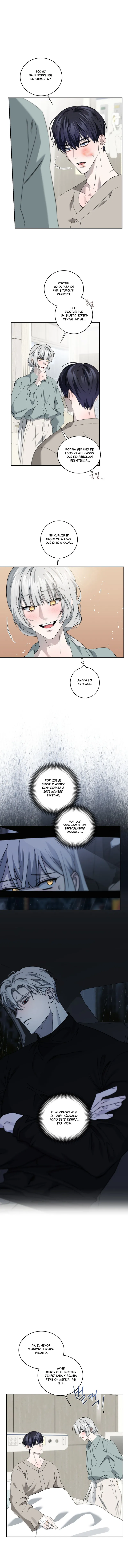 5 Fragmentos de luna