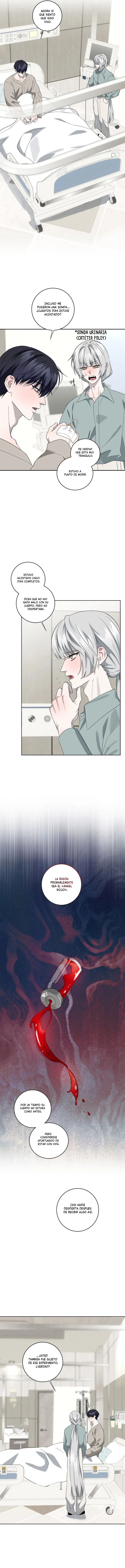 4 Fragmentos de luna