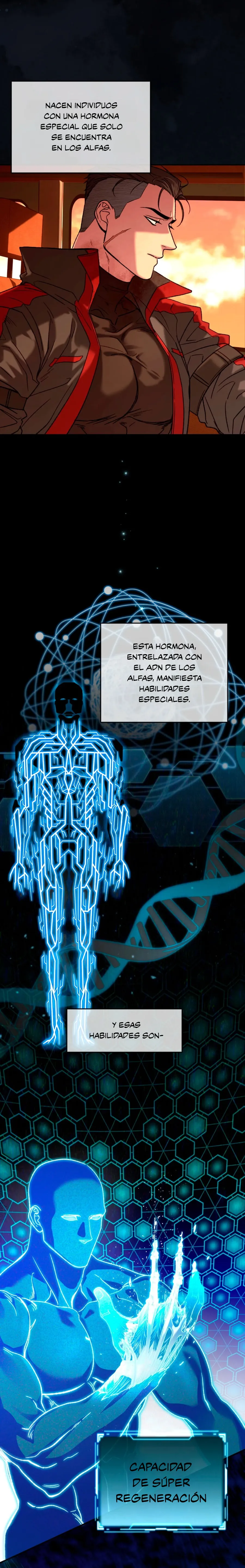 11 Luz del Atardecer