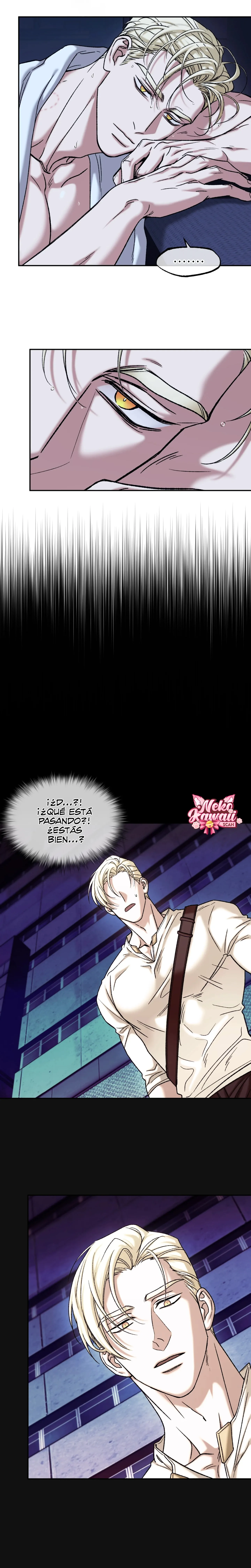 24 Luz del Atardecer