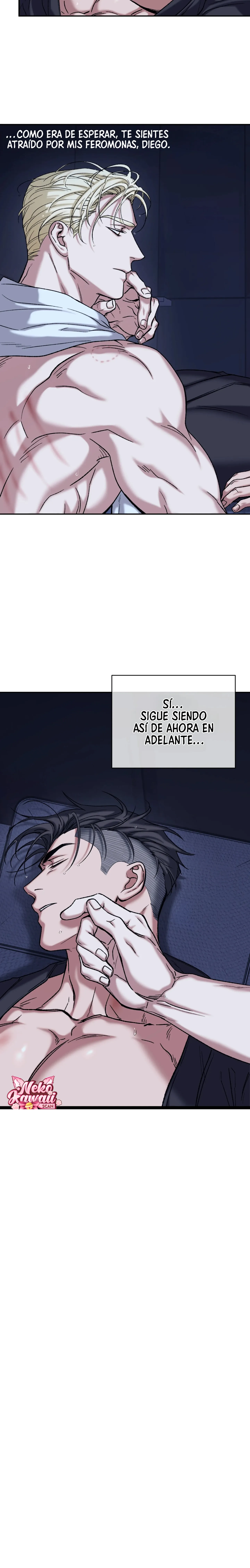 30 Luz del Atardecer