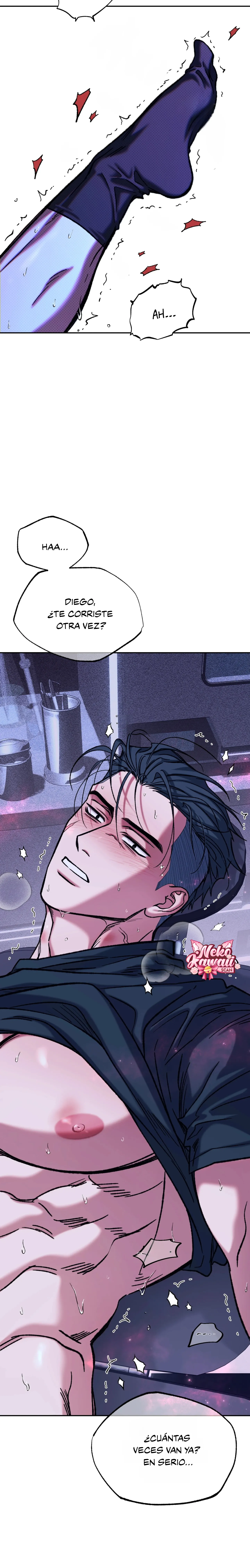 19 Luz del Atardecer