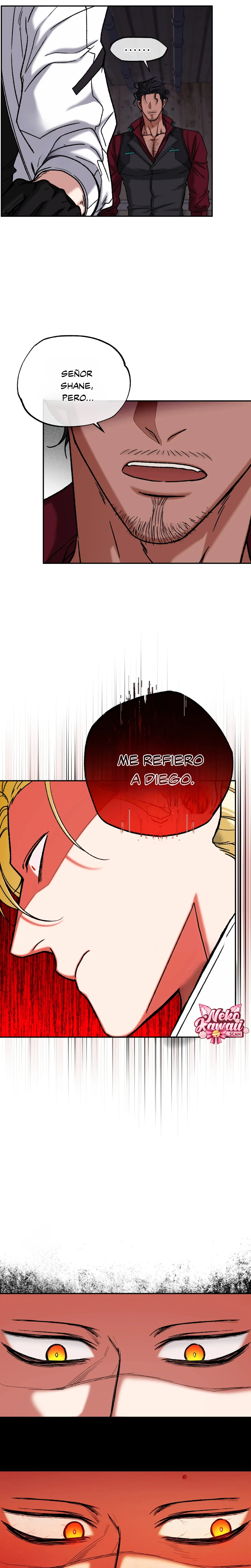 28 Luz del Atardecer