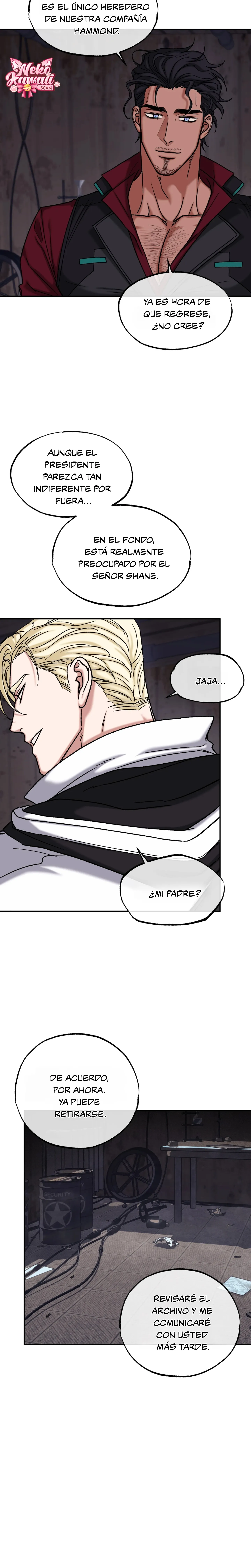 27 Luz del Atardecer