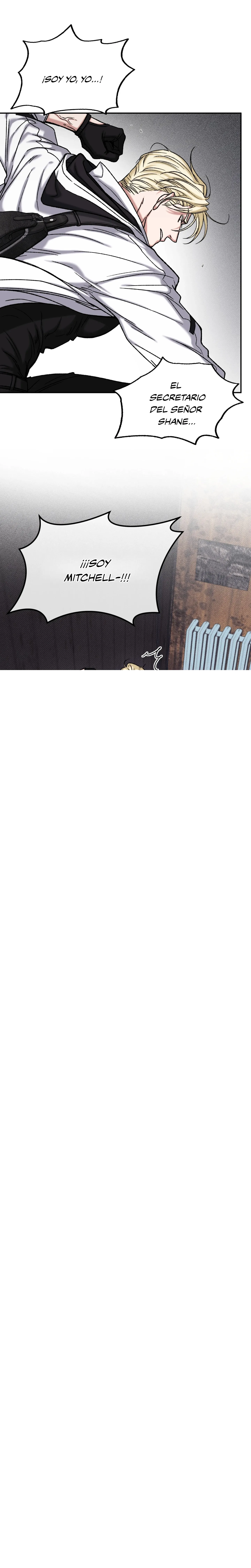 20 Luz del Atardecer