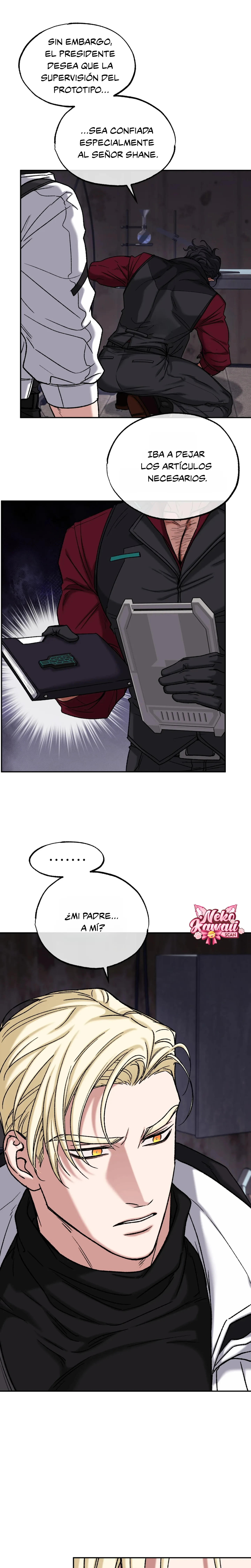 24 Luz del Atardecer