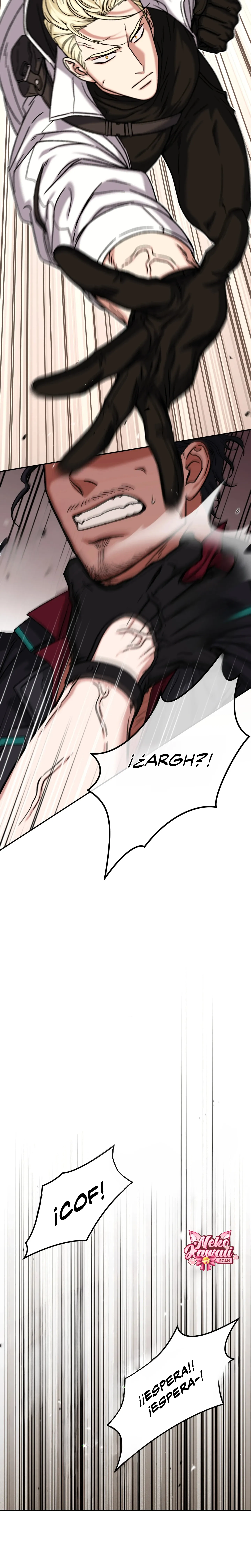 19 Luz del Atardecer