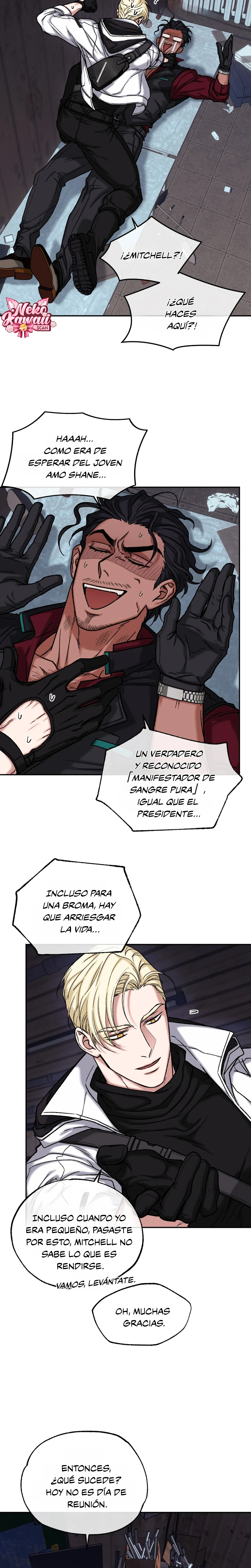 21 Luz del Atardecer