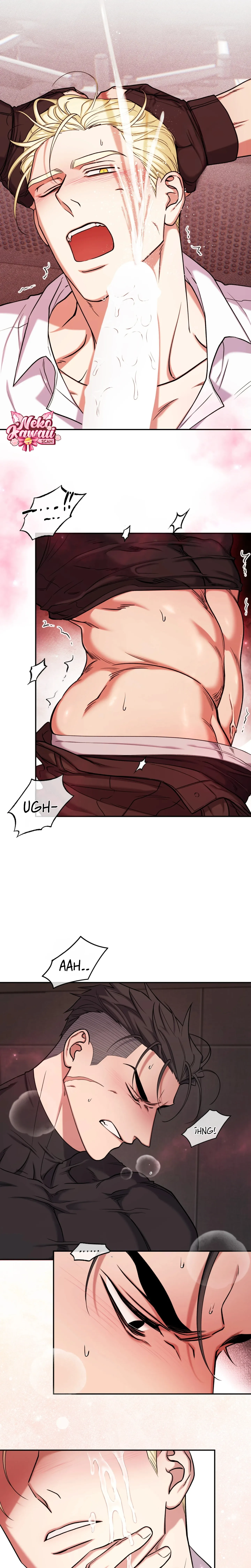 17 Luz del Atardecer