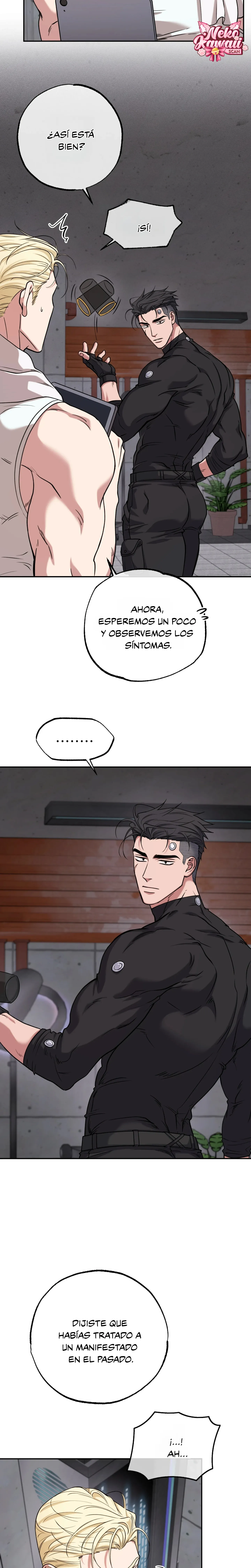 26 Luz del Atardecer