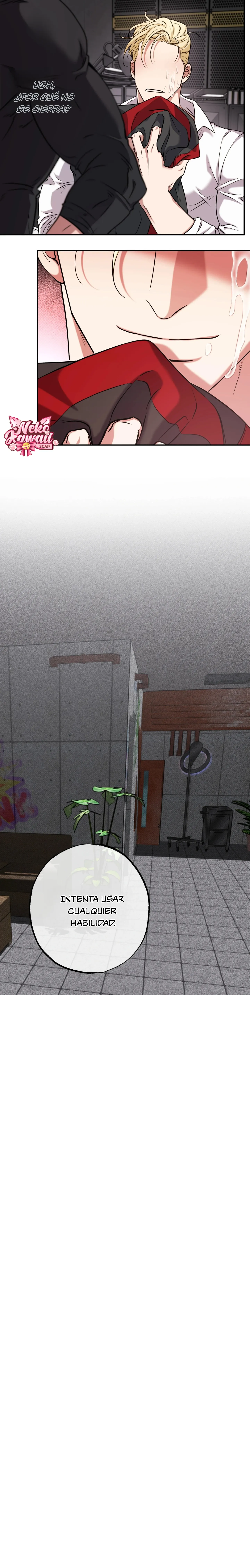 20 Luz del Atardecer