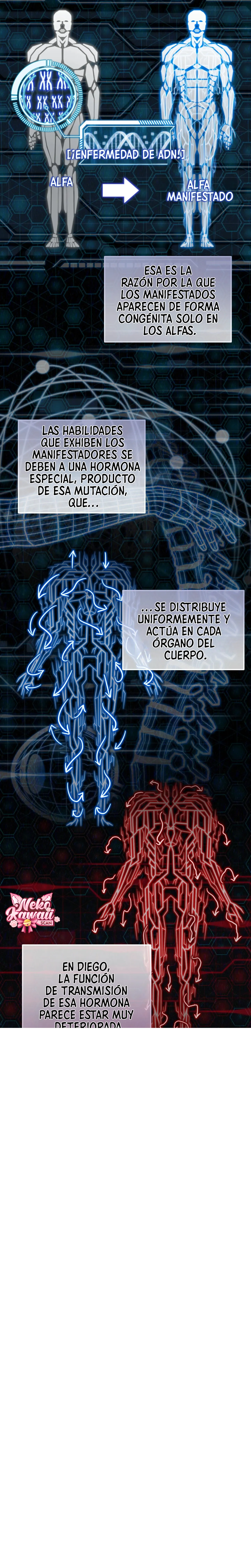 34 Luz del Atardecer