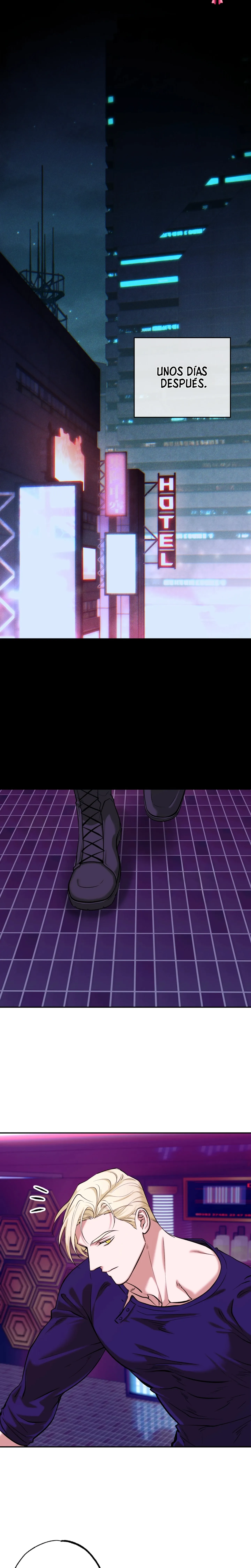 22 Luz del Atardecer