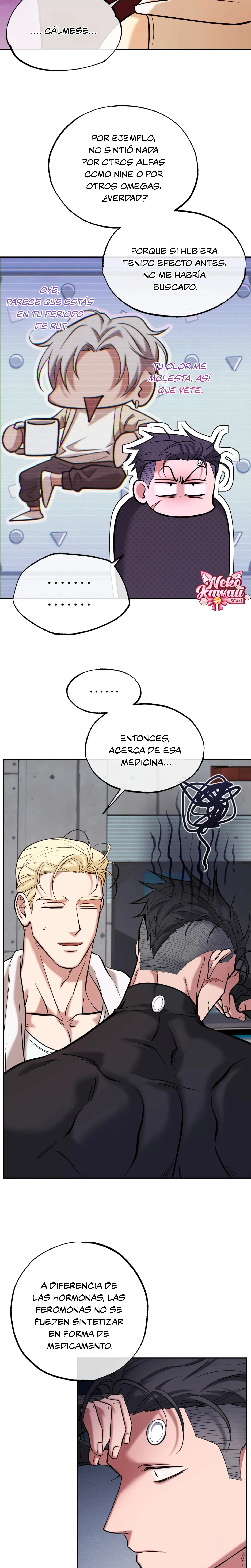 10 Luz del Atardecer