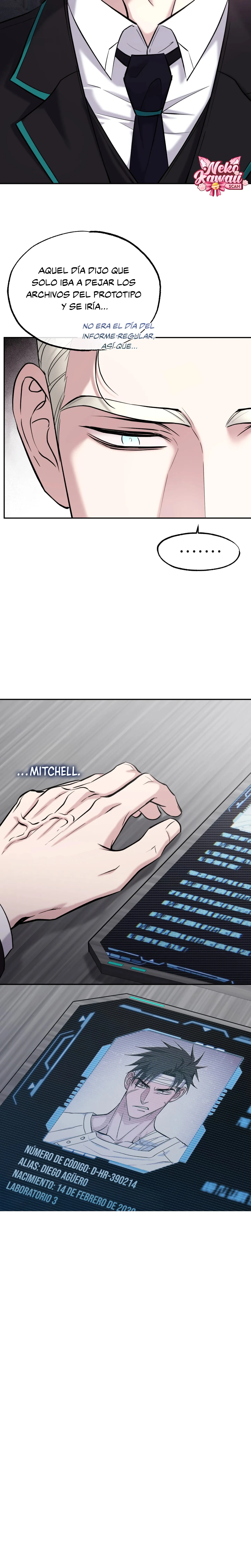 19 Luz del Atardecer