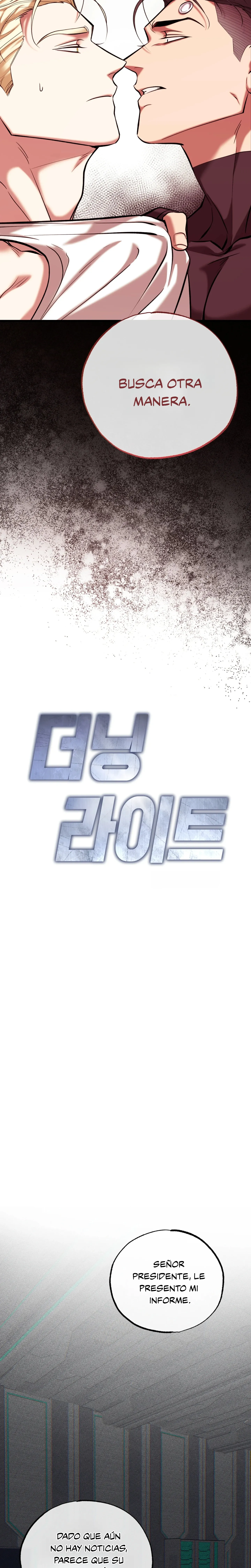 16 Luz del Atardecer