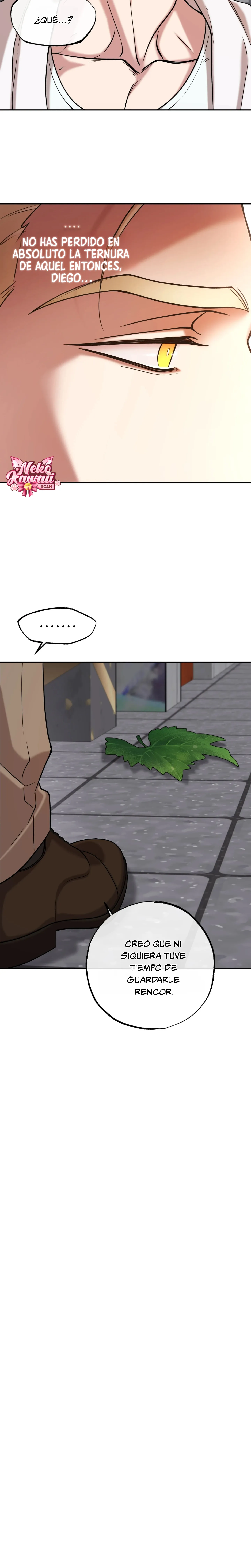 34 Luz del Atardecer