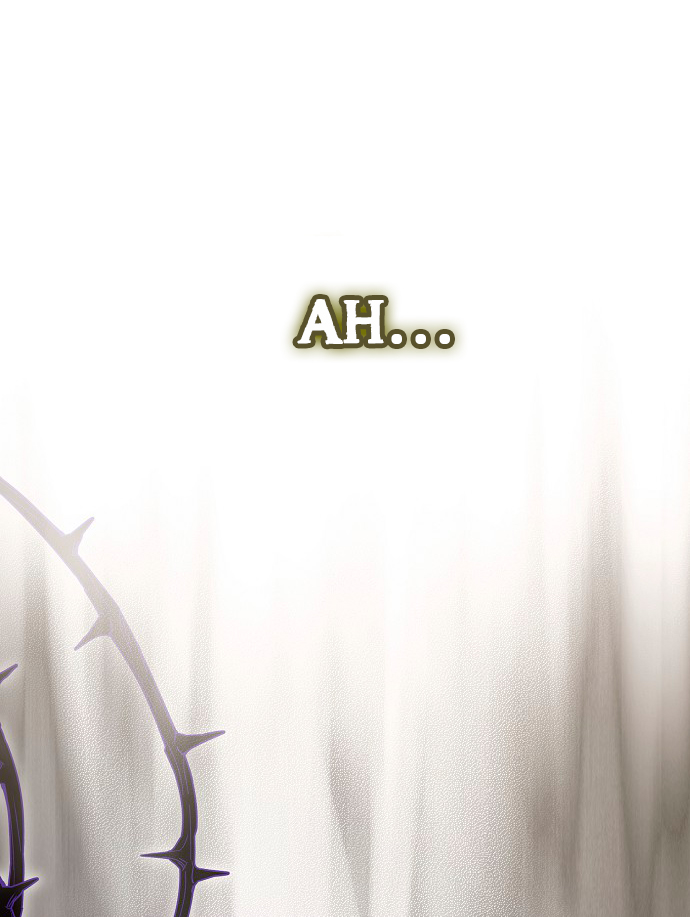 41 La crueldad de la salvación