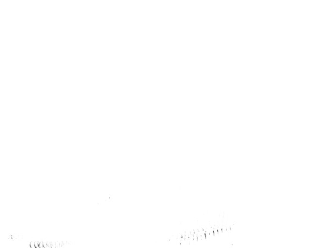 34 La crueldad de la salvación