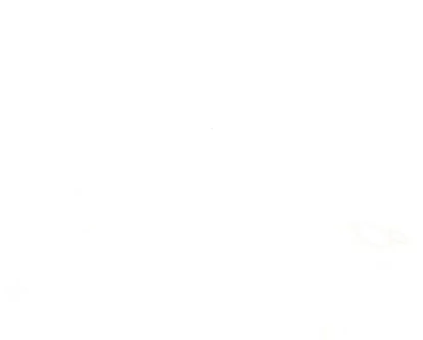 24 La crueldad de la salvación