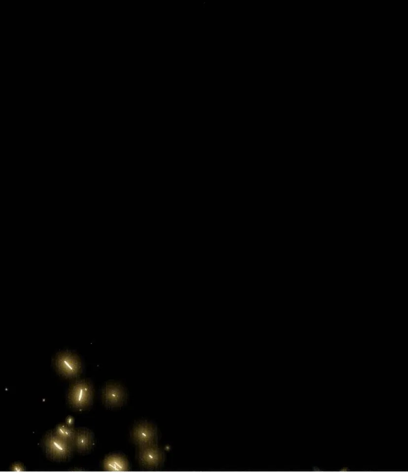 35 La crueldad de la salvación