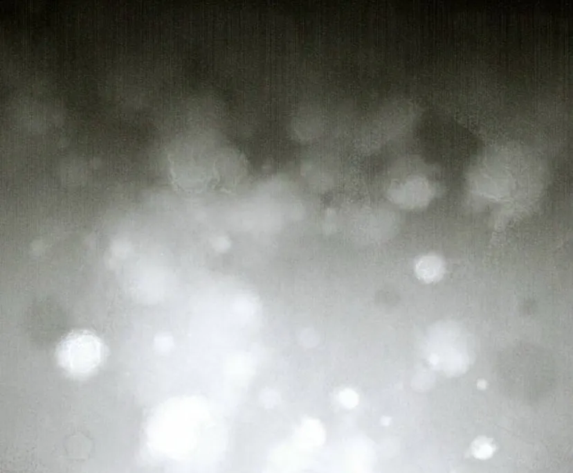 80 La crueldad de la salvación