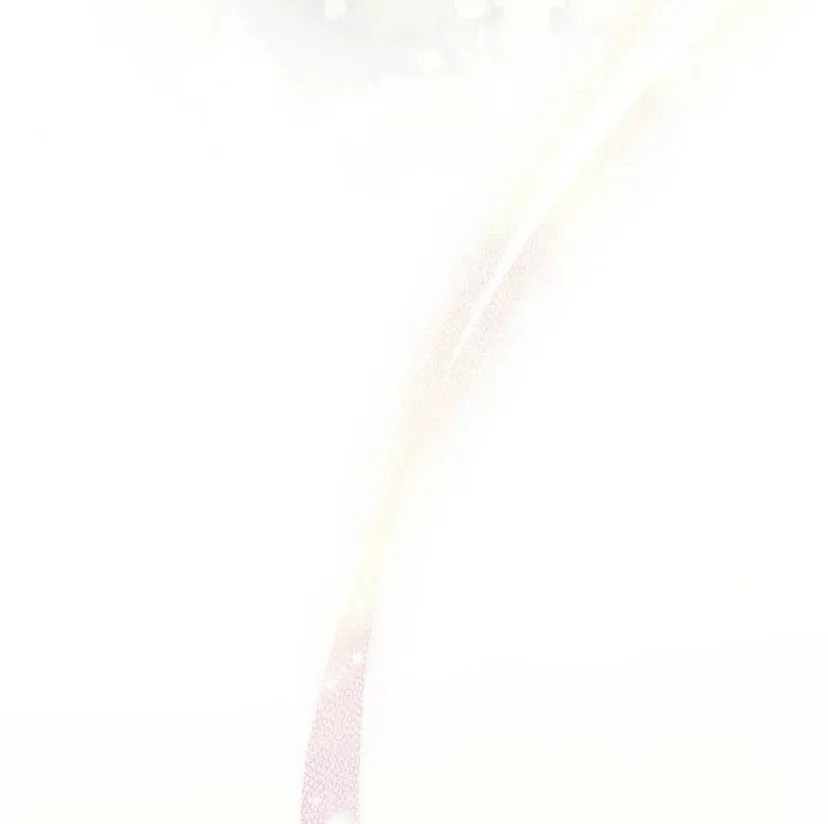 34 La crueldad de la salvación