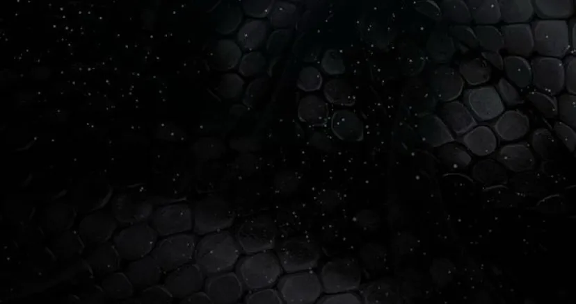 8 La crueldad de la salvación