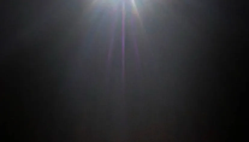 65 La crueldad de la salvación