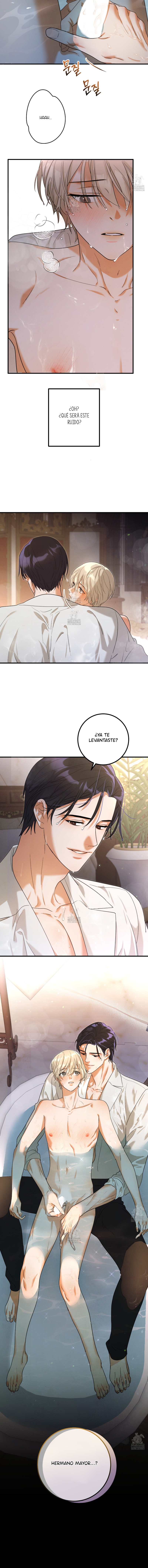 4 El Efecto Westermarck