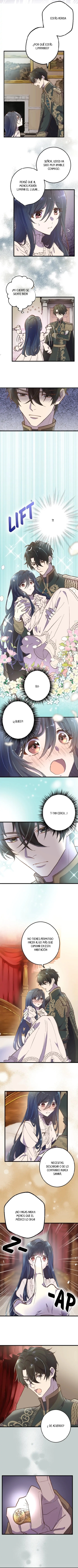 3 Amor loco y amor puro