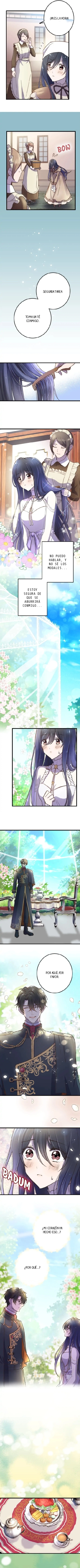 3 Amor loco y amor puro