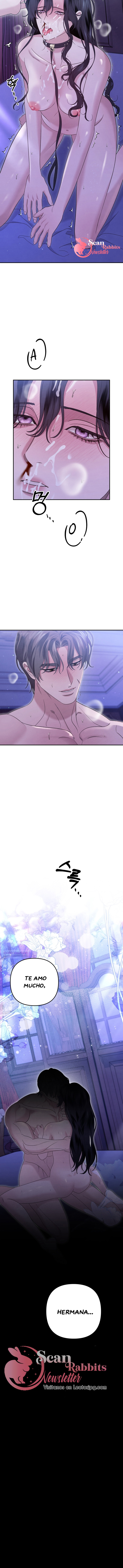 4 Bajo el Nido de Nuestras Pasiones