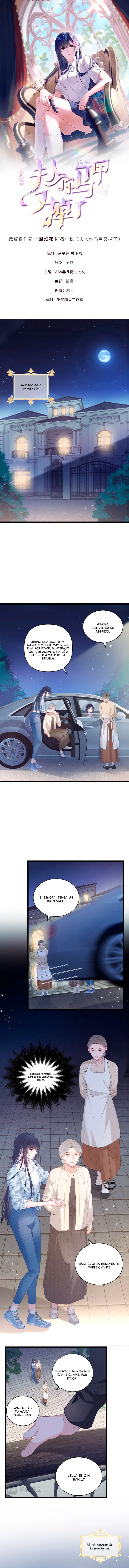 0 Bajo la máscara de la dama