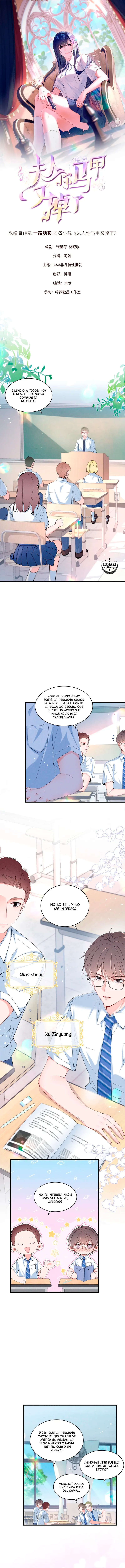 0 Bajo la máscara de la dama