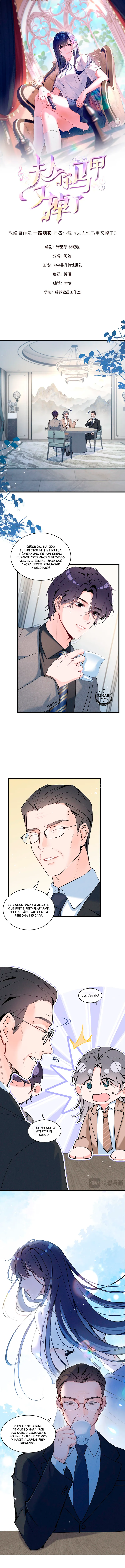 0 Bajo la máscara de la dama