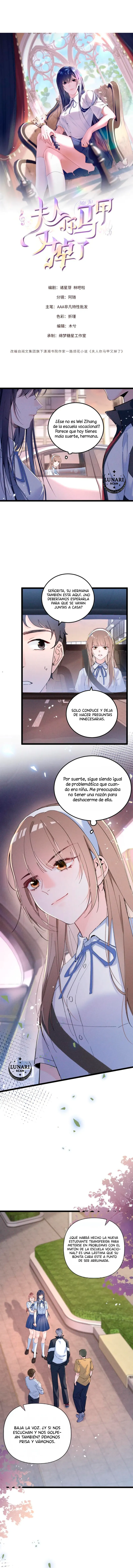 0 Bajo la máscara de la dama