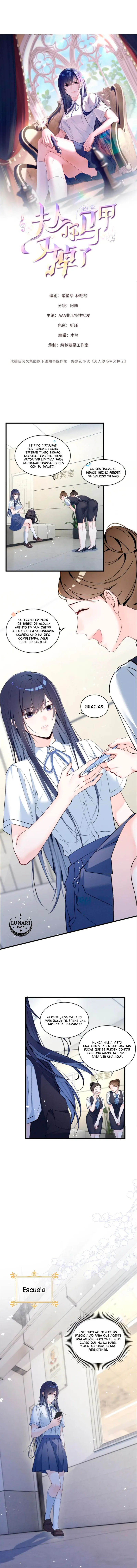 0 Bajo la máscara de la dama