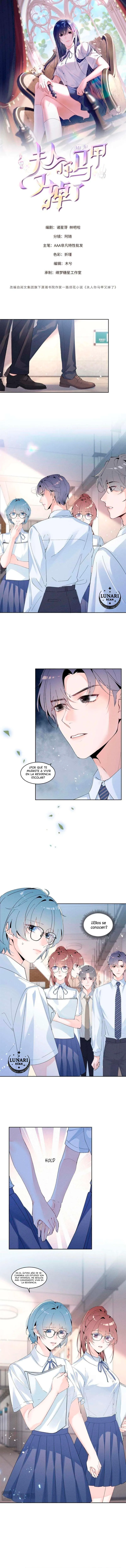 0 Bajo la máscara de la dama