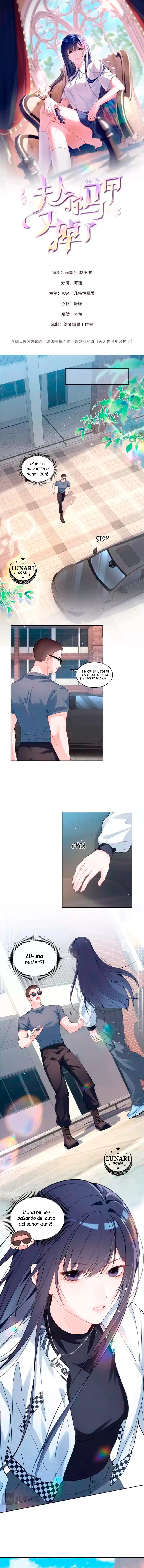 0 Bajo la máscara de la dama