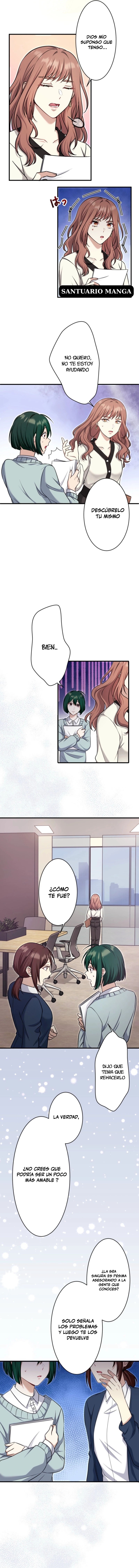 3 El gato callejero no conoce la más bella canción de amor