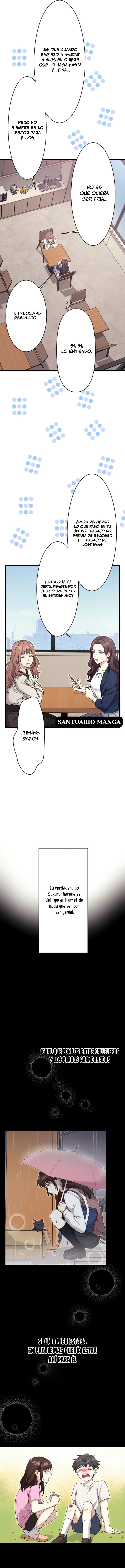 5 El gato callejero no conoce la más bella canción de amor