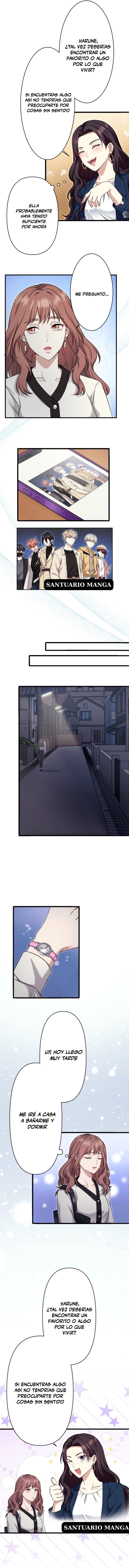 11 El gato callejero no conoce la más bella canción de amor