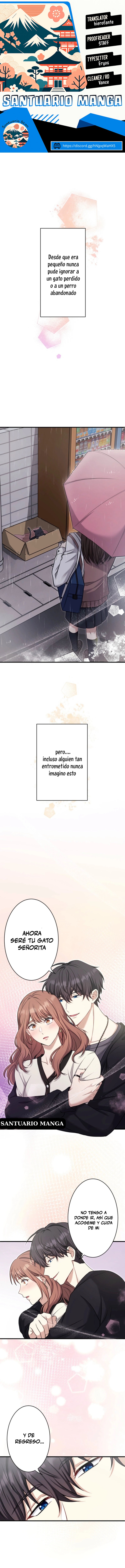 0 El gato callejero no conoce la más bella canción de amor