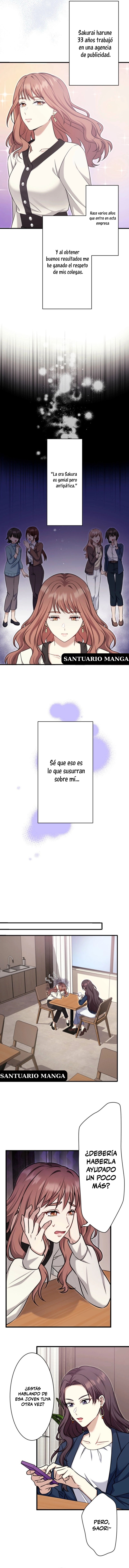 4 El gato callejero no conoce la más bella canción de amor